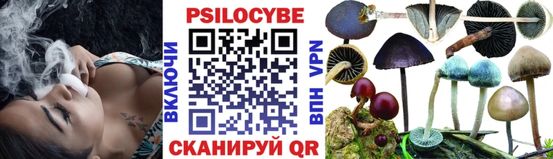 нарко площадка формула  Гдов  Псилоцибиновые грибы MAGIC MUSHROOMS 